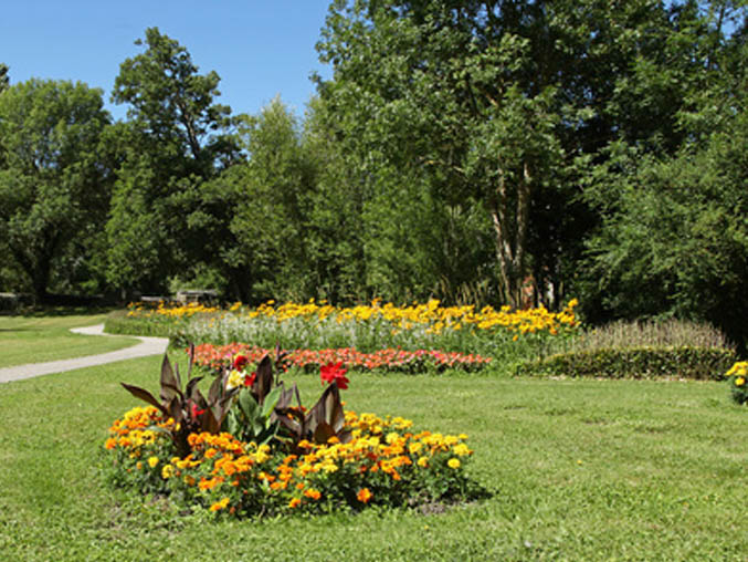 service-entretien-jardin-44.jpg